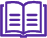 Advanced protocols icon