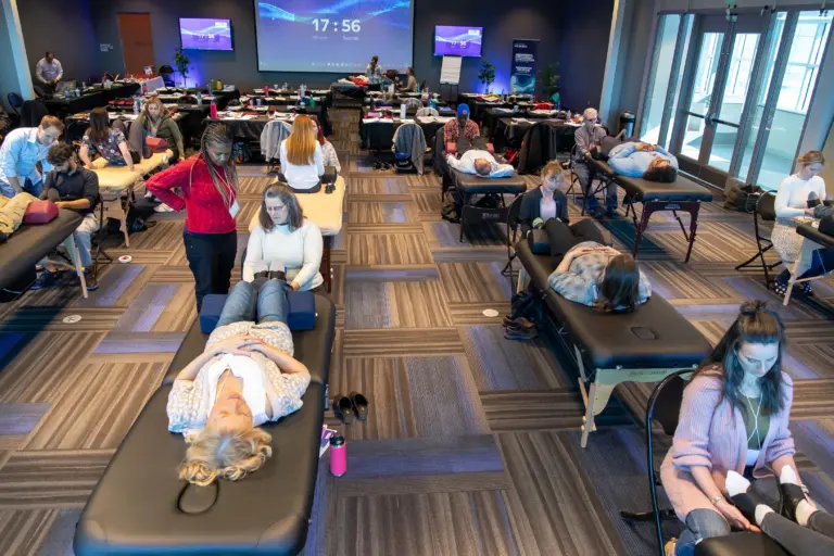 Biomagnetism Therapy