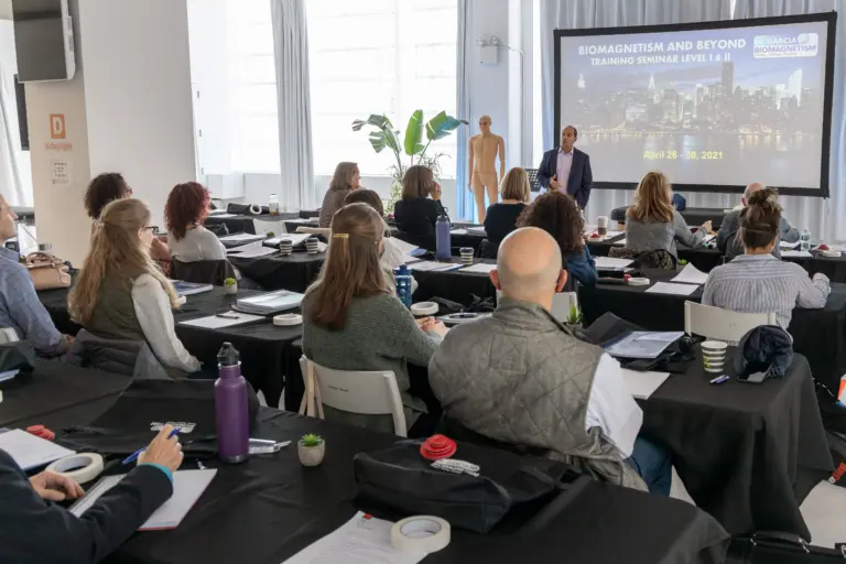 Biomagnetism Training