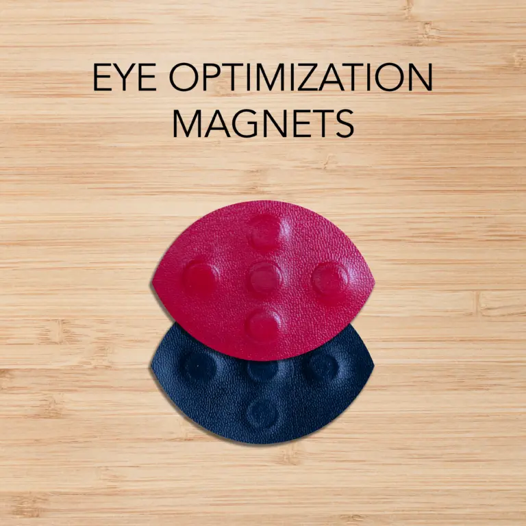 Biomagnetism