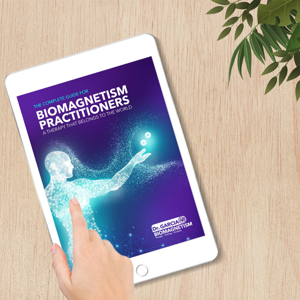 Practitioner Guidebook PDF Version