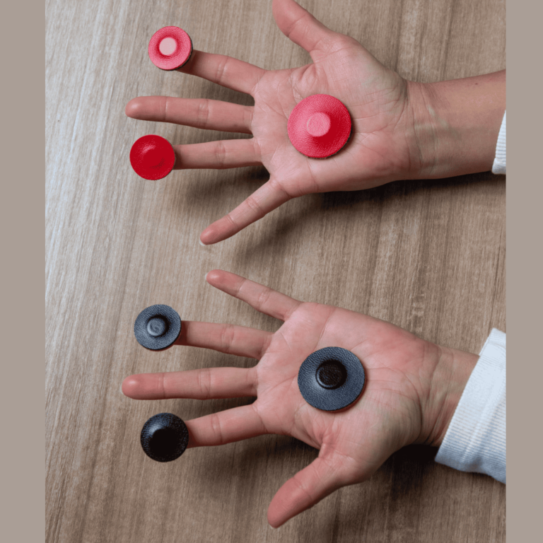 Biomagnetism Mini Magnets