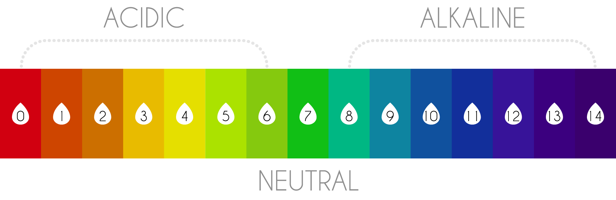 biomagnetism-and-magnetic